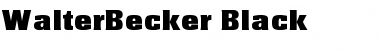 WalterBecker-Black Regular