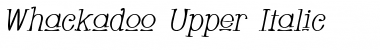 Whackadoo Upper Italic Font