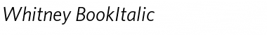 Whitney Medium Italic Font
