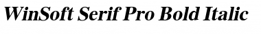 WinSoft Serif Pro Font