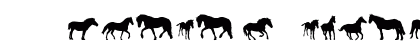 DJ Horses 1 Regular Font Preview