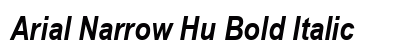 Arial Narrow Hu Bold Italic