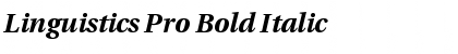 Linguistics Pro Bold Italic Font