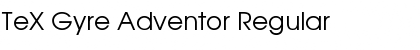 Download TeX Gyre Adventor Font