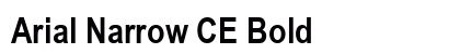 Arial Narrow CE Bold