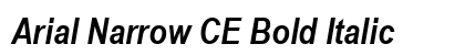 Arial Narrow CE Bold Italic