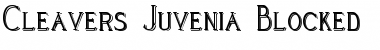 Cleaver's_Juvenia_Blocked Font