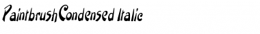 PaintbrushCondensed Italic