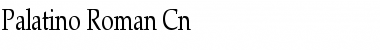 Palatino-Roman Cn Regular Font