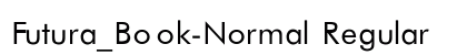 Futura_Book-Normal Regular