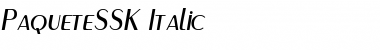 PaqueteSSK Italic Font