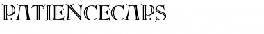 PatienceCaps Font