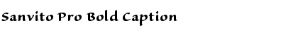 Sanvito Pro Bold Caption Font