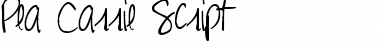 Pea Carrie Script Regular Font