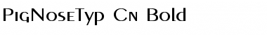 PigNoseTyp Cn Bold Font