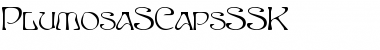 PlumosaSCapsSSK Regular Font