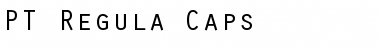 PT Regula Caps Normal Font