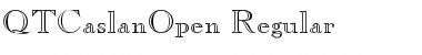 Download QTCaslanOpen Font