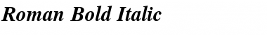 Roman Bold-Italic Font