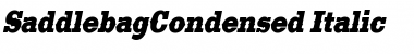 SaddlebagCondensed Italic