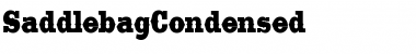 SaddlebagCondensed Regular Font
