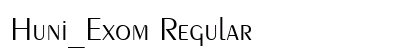 Huni_Exom Regular font free download