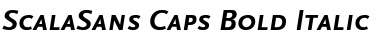 ScalaSans Caps Font