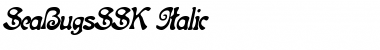 SeaBugsSSK Italic Font