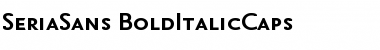 SeriaSans-BoldItalicCaps Regular Font