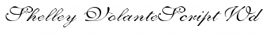 Shelley-VolanteScript Wd Regular