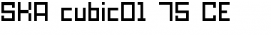 SKA_cubic01_75_CE Regular Font