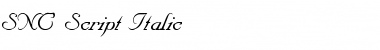SNC1.02SN Italic Font