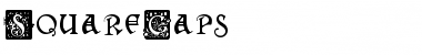 Download SquareCaps Font