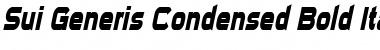 Sui Generis Condensed Bold Italic