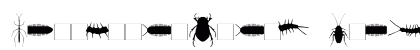 InsectileSolid Roman