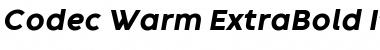 Codec Warm Trial ExtraBold Italic