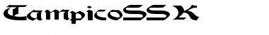 TampicoSSK Regular Font