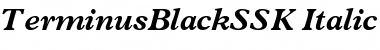 TerminusBlackSSK Italic