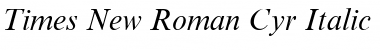 Times New Roman Cyr Italic