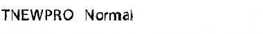 TNEWPRO Normal Font