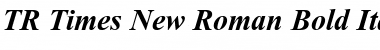 TR Times New Roman Bold Italic