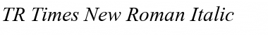 TR Times New Roman Italic Font