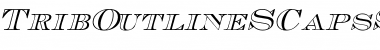 TribOutlineSCapsSSK Italic Font