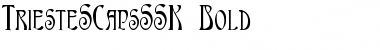 TriesteSCapsSSK Bold Font