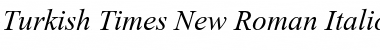 Turkish Times New Roman Italic Font