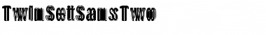 TwinSetSansTwo Regular Font