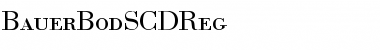 BauerBodSCDReg Regular Font