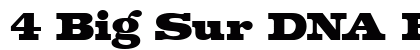 4 Big Sur DNA Regular font free download
