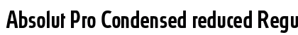 Absolut Pro Condensed reduced Regular Preview