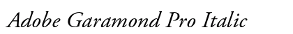 Adobe Garamond Pro Italic Preview